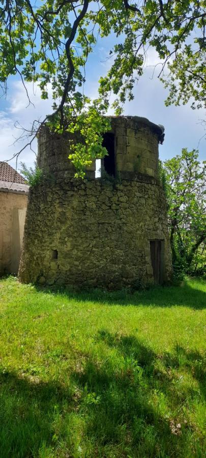 Moulin De Bigorre Saint-Genès-de-Castillon Exterior foto